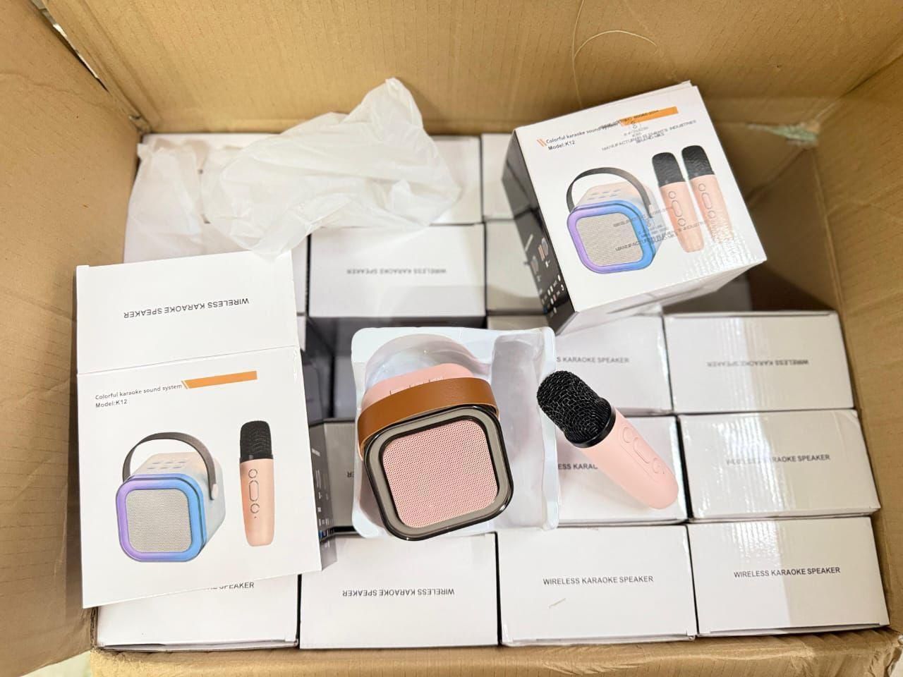 YourBrand Bluetooth Karaoke Speaker – Wireless Connectivity with Microphone