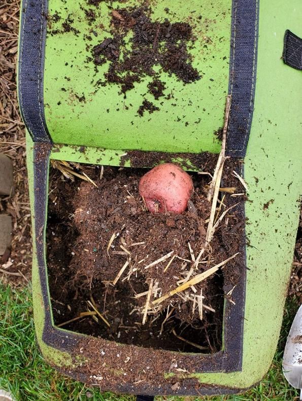 GardenPro Potato Grow Bag – Convenient Harvest Window for Easy Root Vegetable Access
